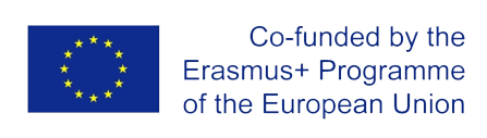 co-founder Erasmus program - transparent (1)